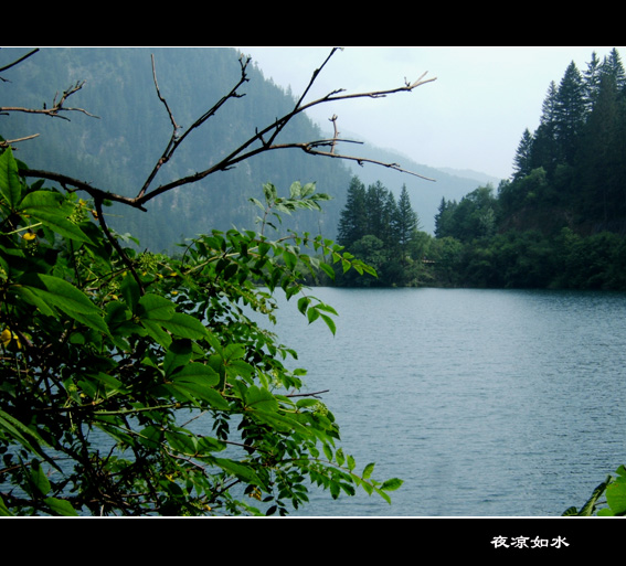 九寨沟风光图片.Jiuzhaigou Photos