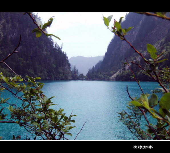 九寨沟风光图片.Jiuzhaigou Photos