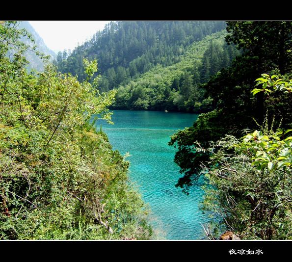 九寨沟风光图片.Jiuzhaigou Photos