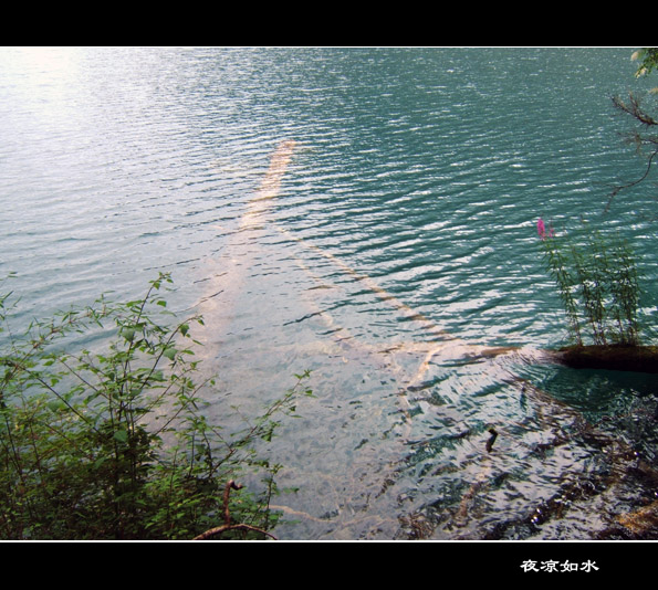 九寨沟风光图片.Jiuzhaigou Photos