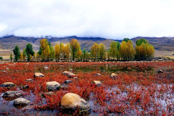 美景旅游网图片库