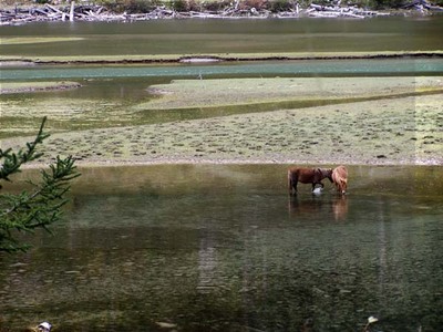 图片：康定莲花湖