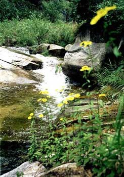 京郊寻花_京郊五大