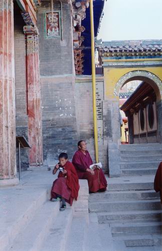 图片：塔尔寺