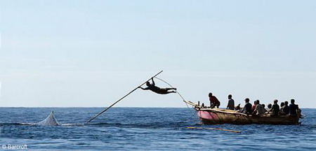 印尼原始岛民海上撑竿飞跃捕巨鲸(图)