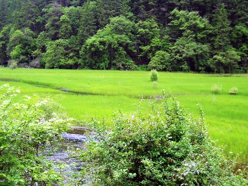 九寨沟旅游风光图片-美景旅游网