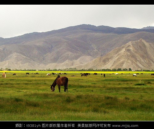 美景旅游网图片库