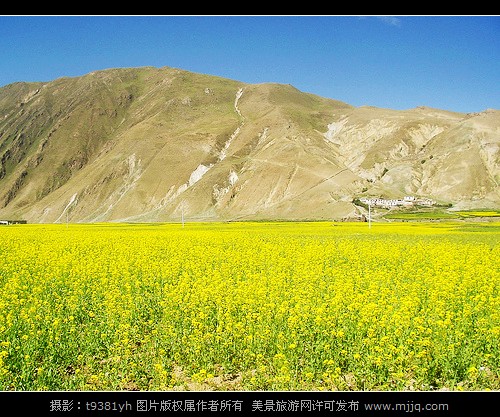 西藏珠峰旅游图片