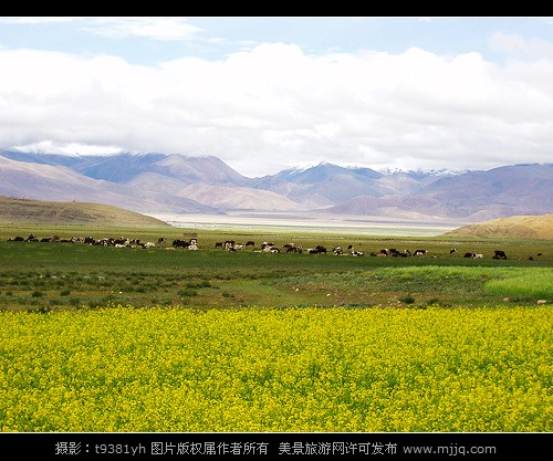 西藏珠峰旅游图片