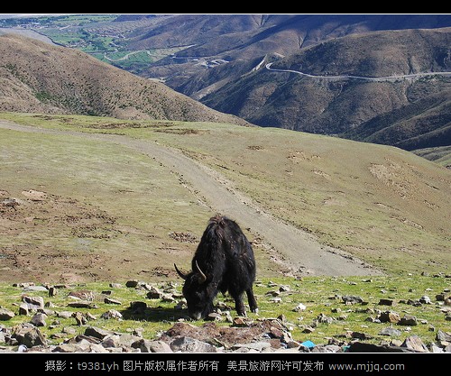 美景旅游网图片库