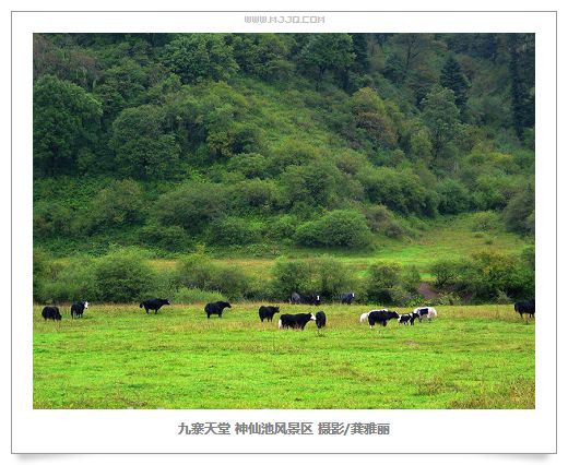 四川九寨沟神仙池图片