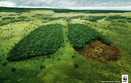 国外环保创意广告图片-第19 张