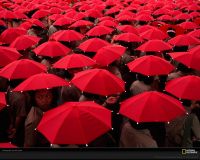 美国国家地理图片:中国台湾，红色伞下的学童
