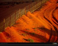美国国家地理图片:澳大利亚的游牧长栏，这是世界上最长的围栏，用于保护羊群免受野狗的伤害