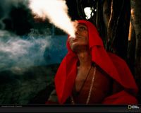 美国国家地理图片:印度孟买，寺庙外菩提树下正在抽烟的苦行僧