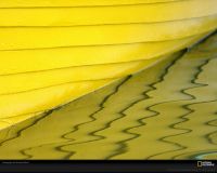 美国国家地理图片:加拿大佛罗伦国家公园，一艘黄色的船倒影在水面上