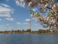 春季4月份出境旅游最佳目的地推荐：美国