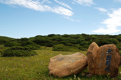 景点介绍：格萨拉风景区