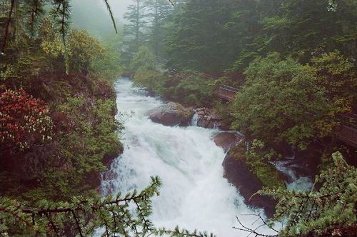 景点介绍：木格措风景区