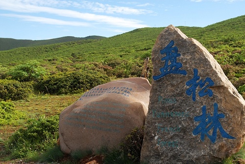 景点介绍：格萨拉风景区