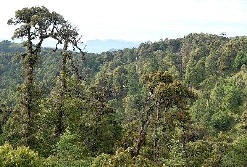 景点介绍：格萨拉风景区