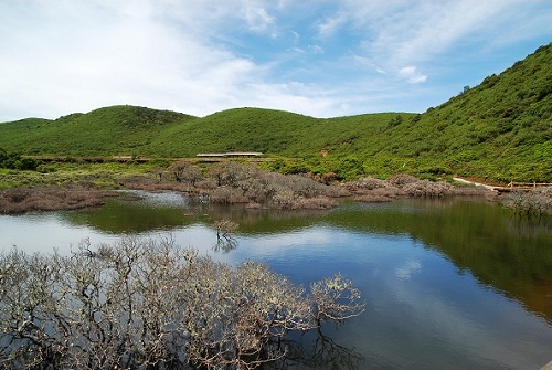 景点介绍：格萨拉风景区