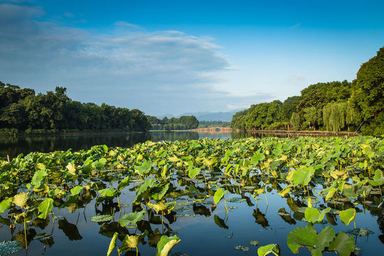 美不胜收！西湖入选世界12大落日美景