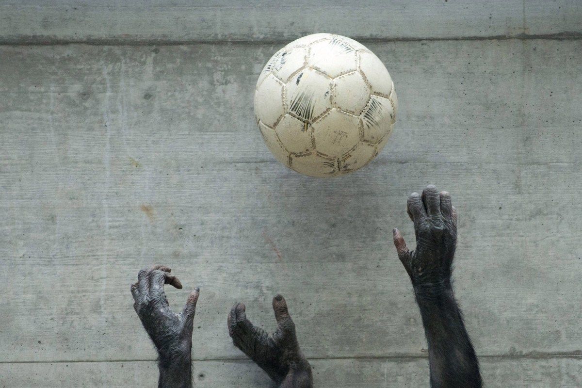 图片:美国《TIME》评选2013年最令人惊奇照片