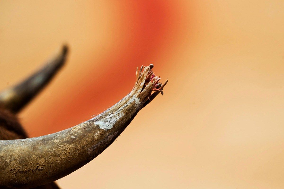 图片:美国《TIME》评选2013年最令人惊奇照片