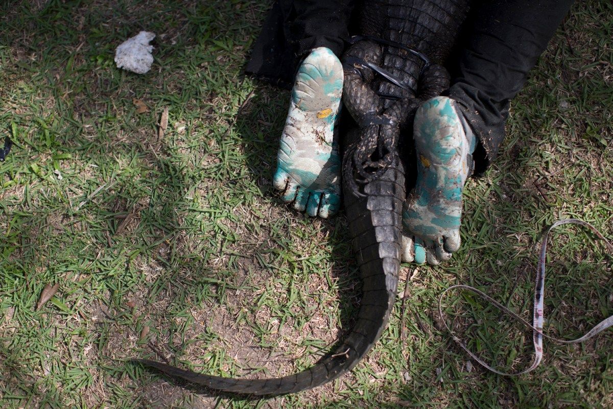 图片:美国《TIME》评选2013年最令人惊奇照片
