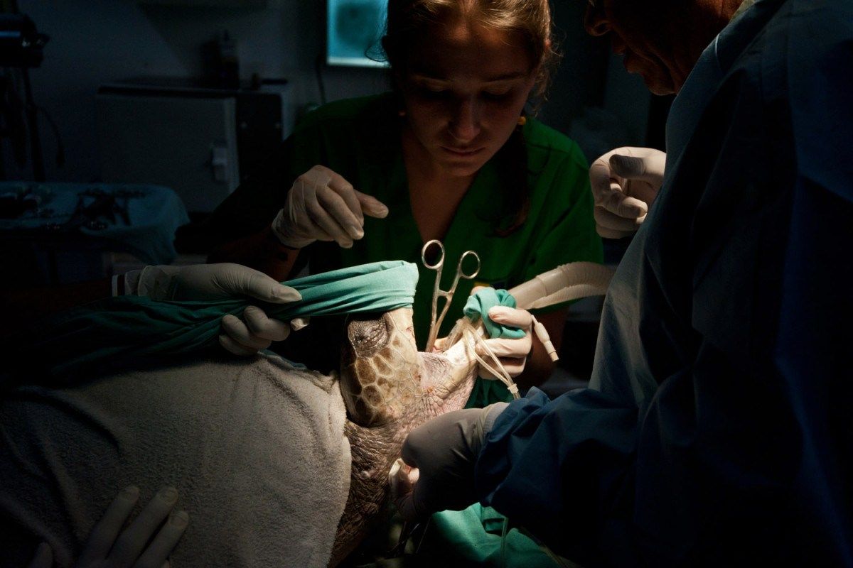 图片:美国《TIME》评选2013年最令人惊奇照片