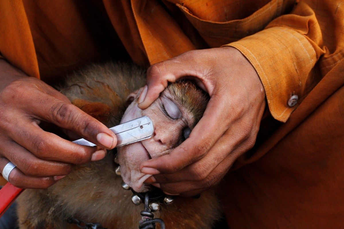 图片:美国《TIME》评选2013年最令人惊奇照片