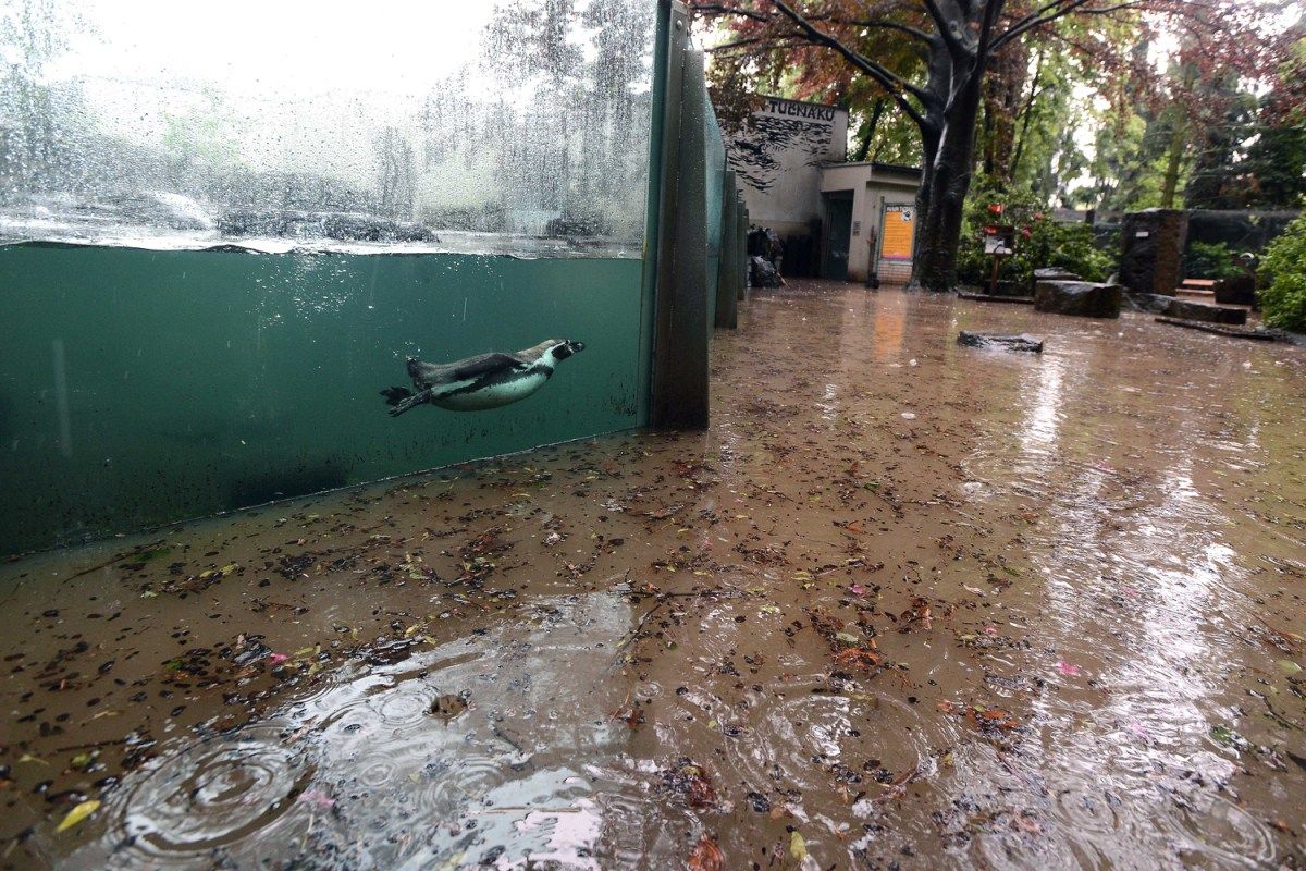 图片:美国《TIME》评选2013年最令人惊奇照片