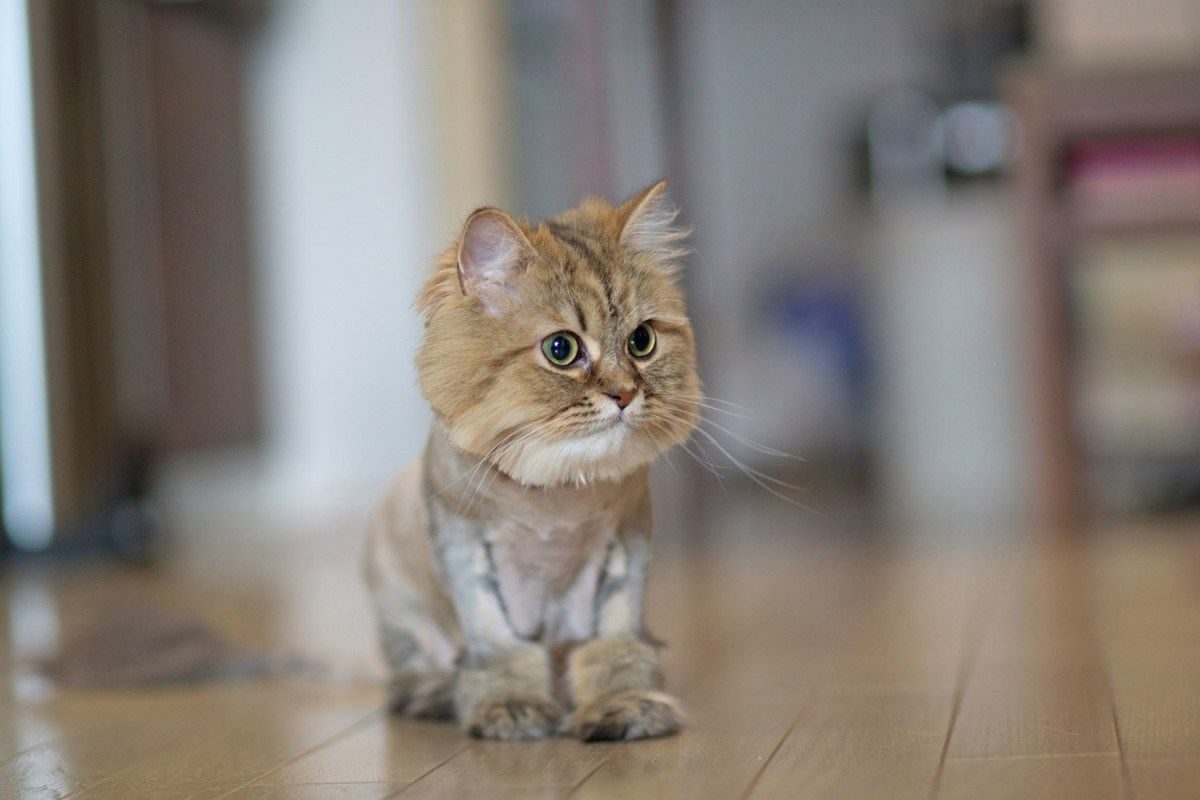 图片:美国《TIME》评选2013年最令人惊奇照片