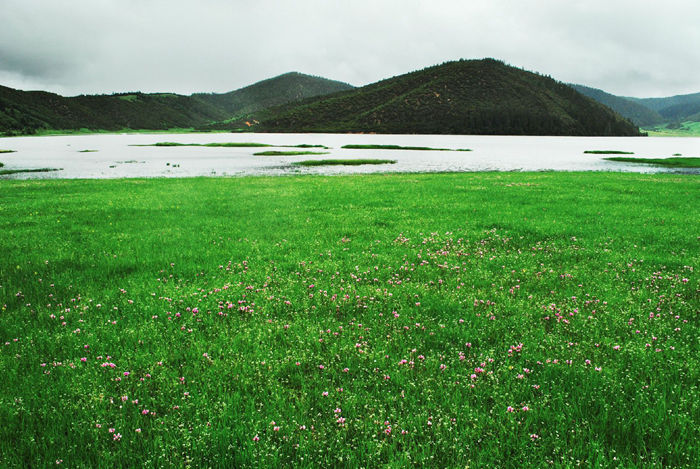 云南香格里拉风景图片：普达措国家公园