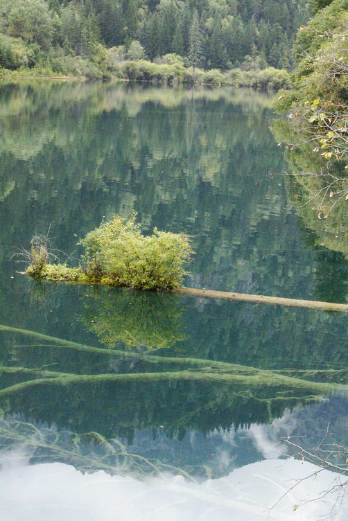 九寨沟草海图片