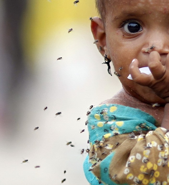 图片：一名生病小女孩被苍蝇环绕