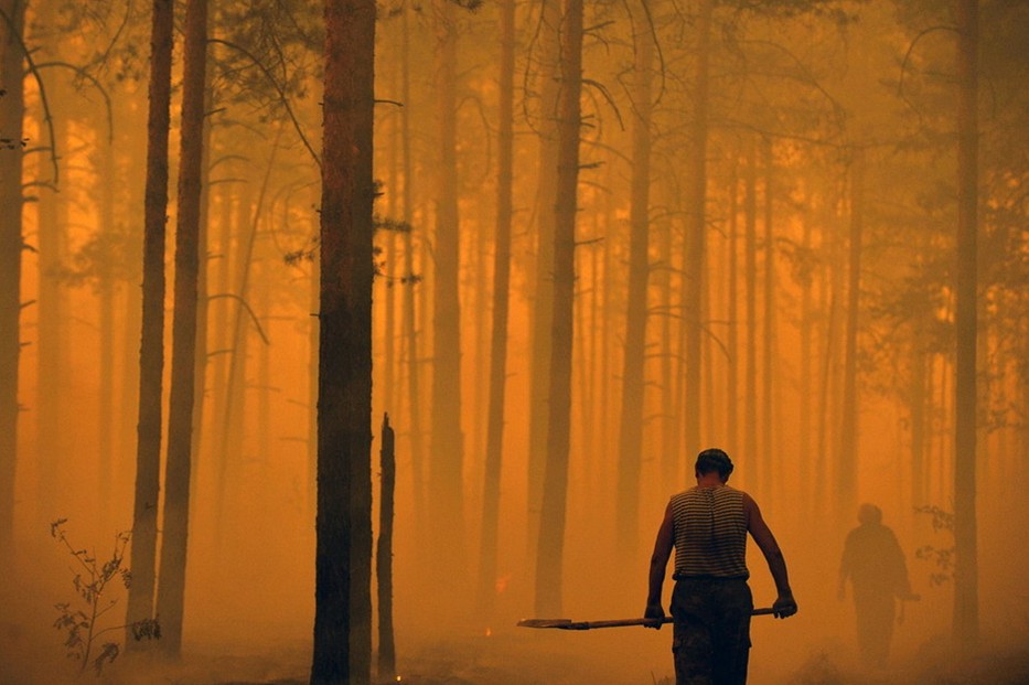 图片：俄罗斯消防队正在扑灭森林大火